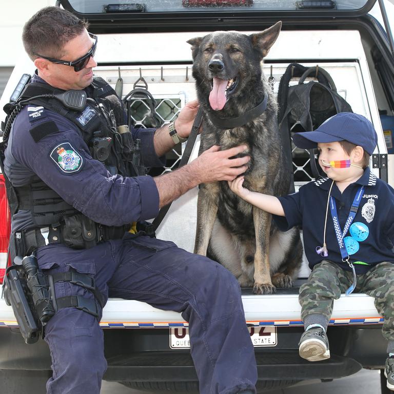 Meeting Hondo, and his handler Nick Donald. Picture: Glenn Hampson