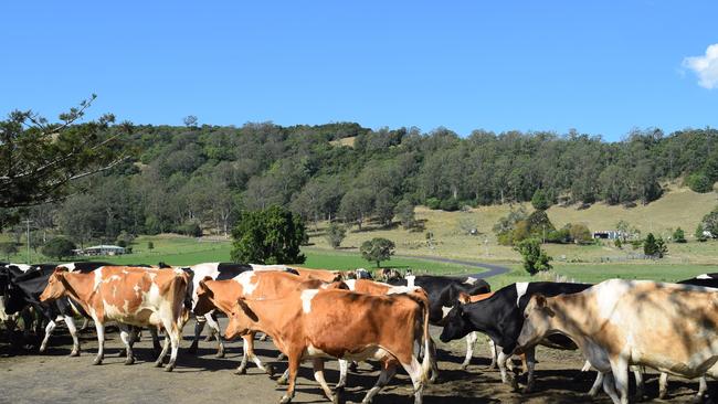 With only two months left in the current season, ADFC has become the third processor to lift at the farmgate for a second time