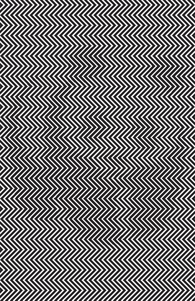 Find the panda: The science behind the optical illusion | news.com.au — Australia&#39;s leading news site