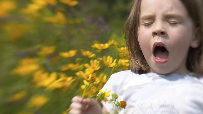 Hayfever: Girl sneezinging field of flowers. Picture: istock