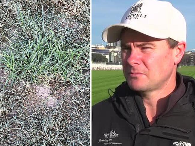 Flemington track manager Liam O'Keeffe will lend his experience to the Gold Coast Turf Club to fix their track after it was damaged by chemicals.