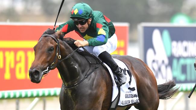 Alligator Blood scored a big win in the Magic Millions Guineas in January. Picture: AAP