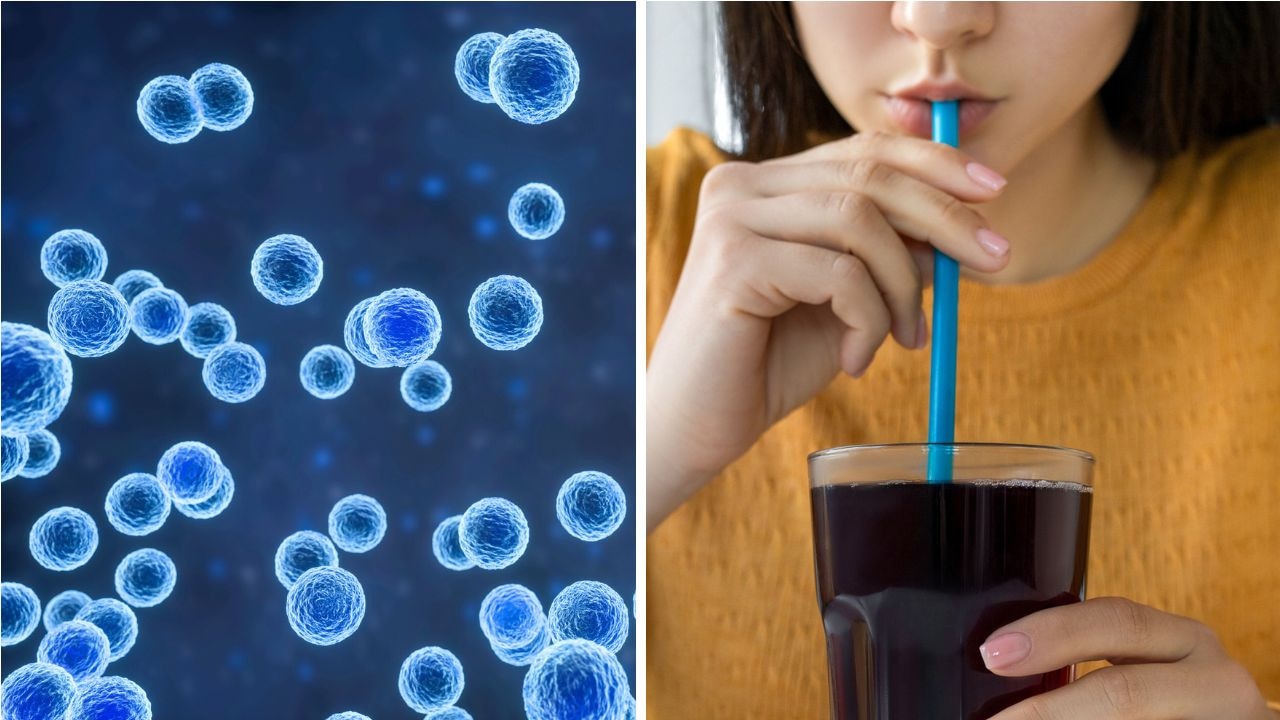 Huge sugar myth finally busted