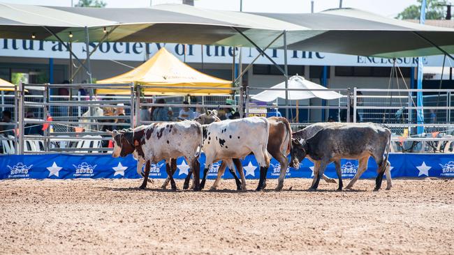 2024 Top End Rock N Rodeo Muster at the Darwin Showgrounds. Picture: Pema Tamang Pakhrin.