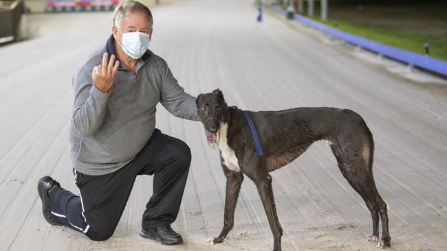 It's three in the final for trainer Reg Gardoll as he holds Daley Magic, winner of the fifth heat of Clarence Valley Sheds Maiden at Grafton Greyhounds