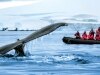 Sustainable cruising: These cruise lines are leading the way