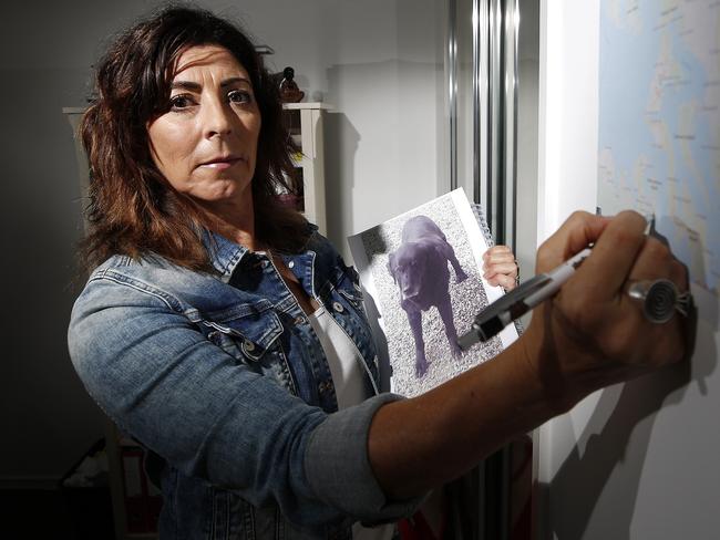 Animal communicator Rommie Buhler pictured at he home in Scarborough, Brisbane 7th of January 2021.  Rommie helps find lost or stolen animals by speaking to them.  (Image/Josh Woning)