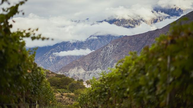 Vineyards in Shangri-La in Yunnan Province in China.