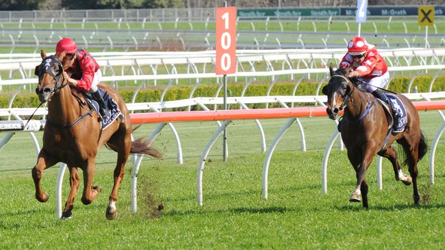 Flying filly Speak Fondly will tackle the boys in the Golden Rose. Picture: Simon Bullard