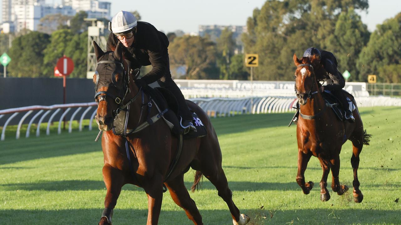 Nature Strip & Home Affairs Headline The Rosehill Jump Outs