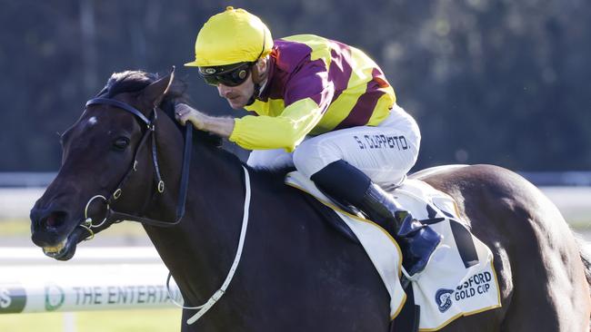 Numerian is racing well and will make his own luck. Picture: Getty Images