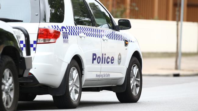 Five youths aged from 12 to 15 have been charged after a young woman was robbed and injured in a street South Plympton.