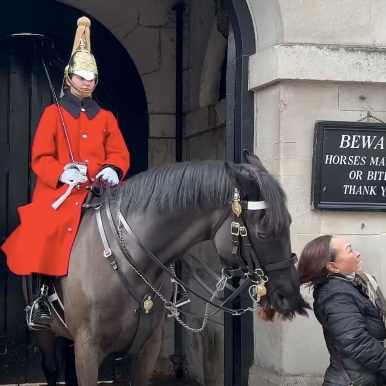 Horsexxxvideos - King's Guard horse bites woman's hair near Buckingham Palace | Video | news. com.au â€” Australia's leading news site