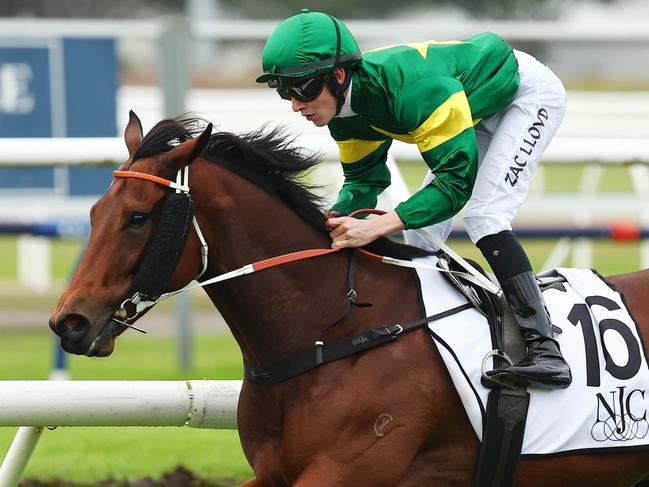 NEWCASTLE, AUSTRALIA - MAY 11: Zac Lloyd riding Semillion wins Race 7 De Bortoli Wines Takeover Target Stakes during "The Coast Raceday" - Sydney Racing at Newcastle Racecourse on May 11, 2024 in Newcastle, Australia. (Photo by Jeremy Ng/Getty Images)