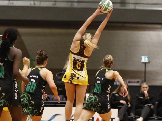 Ellie Marshall has excelled in her first season with the Hawks. Picture: Jess Stevenson