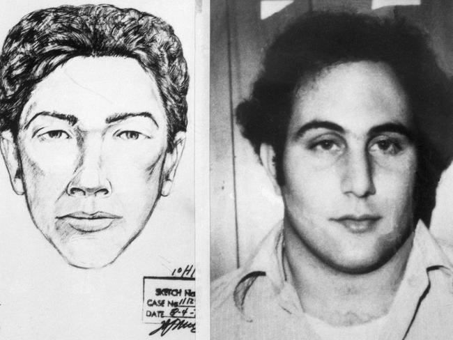 David Berkowitz sos