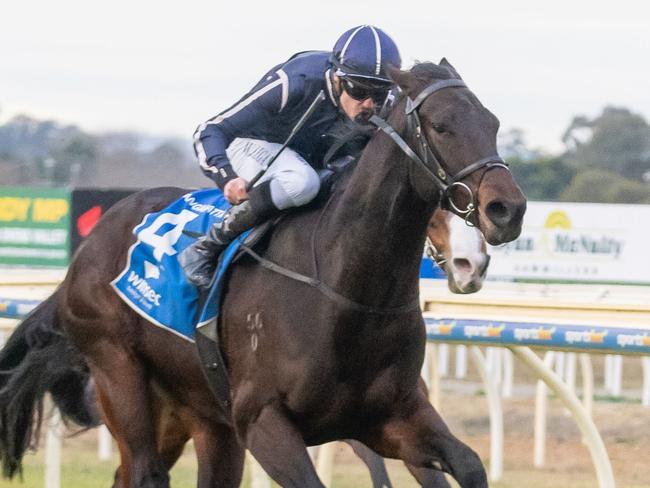 Varane (NZ) ridden by Billy Egan wins the Financial Momentum BM58 Handicap at Wangaratta Racecourse on June 20, 2024 in Wangaratta, Australia. (Photo by Jay Town/Racing Photos via Getty Images)