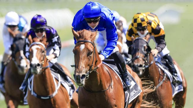 Smart colt Paulele could well have lined up in The Everest if it had Group 1 status. Picture: Getty Images