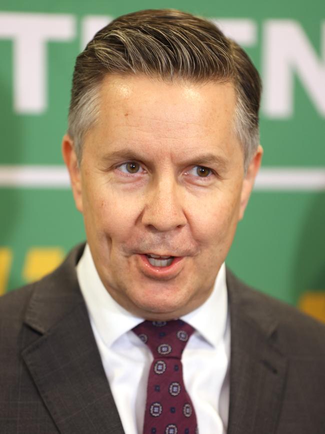 Health Minister Mark Butler. Picture: NewsWire / Damian Shaw