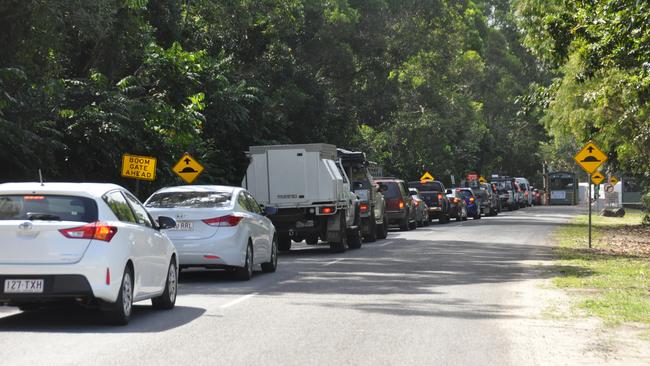 Traffic queued to cross the Daintree River ferry. Picture: Mark Murray.