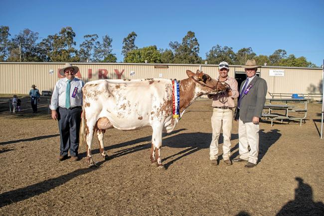 Supreme Champion Udder and Attachment Cow went to Illawarra entrant Meryleholm Lemon for the Bourke Family. Picture: ALI KUCHEL