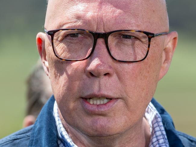 TASMANIA, AUSTRALIA - NewsWire Photos - Sunday, 10 November 2024:  Leader of the Opposition Peter Dutton at Littlewood Berry Farm in Richmond, Tasmania. Picture: NewsWire / Linda Higginson