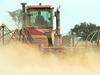 Wheat, canola prices on the up