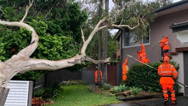 State Emergency Service volunteers were busy across the weekend attending to emergency calls for assistance after large trees were brought down and damaged homes across the northern beaches by the heavy rain and winds. Picture: SES Warringah/Pittwater Unit