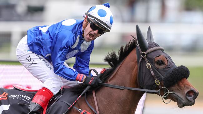 Wrote To Arataki and jockey Dean Yendall will again combine in Saturday's Group 3 Geoffrey Bellmaine Stakes at Sandown. Picture: Racing Photos via Getty Images