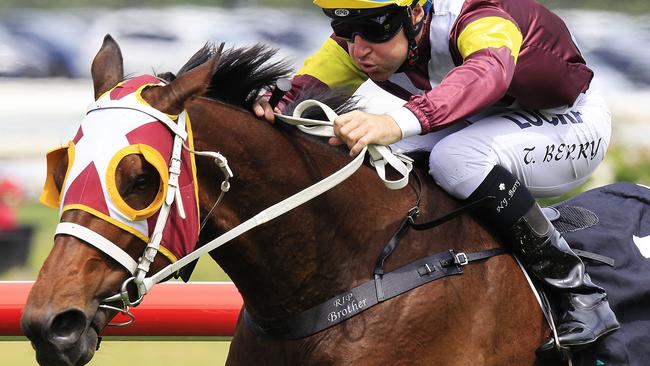 Multifacets looks over the odds after a strong first-up run. Picture: Jenny Evans