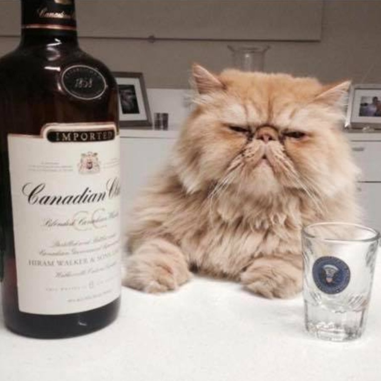 4. Fourth place goes to Leonardo Di Catrio enjoying a celebratory drink. Picture: Karin Hemberg.