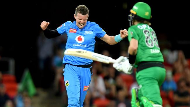 Peter Siddle was the matchwinner for the Strikers against the Stars in the Big Bash last Friday night. Picture: Getty Images