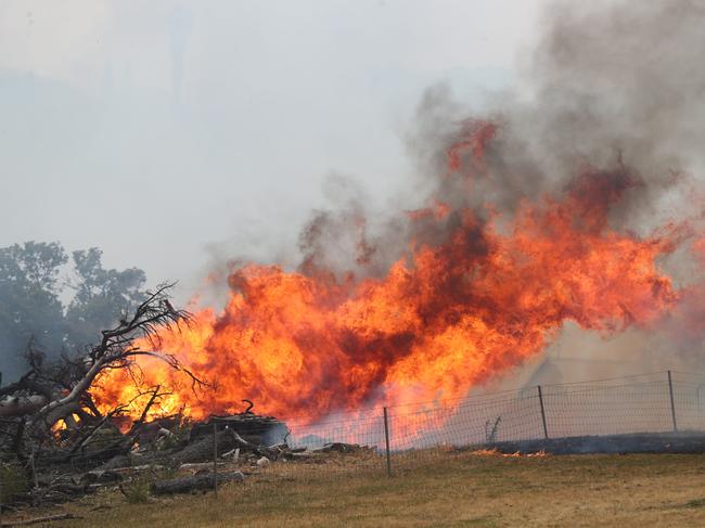 20.12.2019.An emergency warning has been issued for a bushfire burning under catastrophic weather conditions.Issued for Cudlee Creek near Hollands Creek Road and Snake Gully Road. PIC TAIT SCHMAAL.