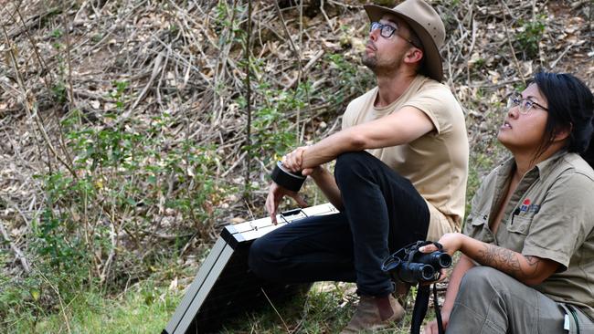 Ross Crates from the Australian National University and Greater Sydney Local Land Services officer Genevieve Kyi keep an eye on the Regent Honeyeaters' nest in Mulgoa.