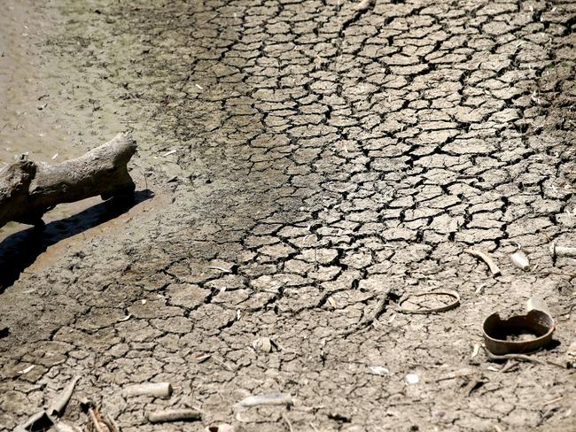 The dry Namoi River. Picture: Nathan Edwards