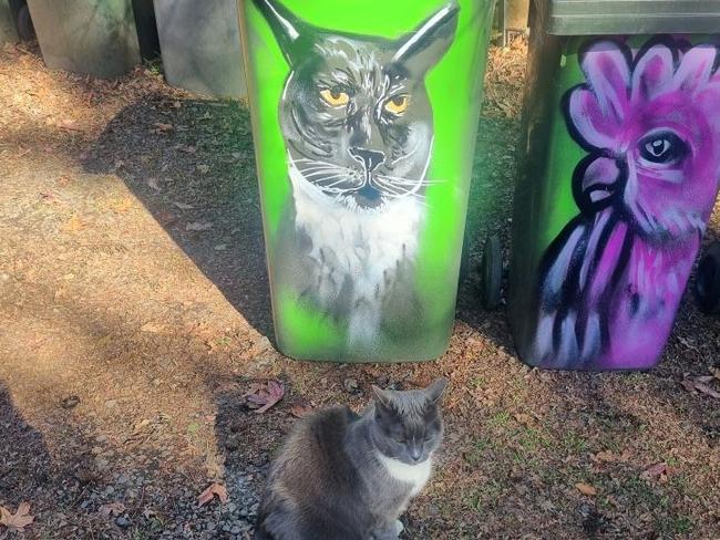 The general store cat in Kangaroo Valley has died – and the community came out on Saturday to pay its respects.