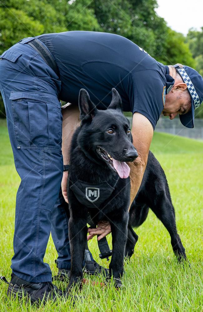 NT Police patrol dog Drax and his handler tracked down a 31-year-old man who allegedly stabbed a 61-year-old with a shovel in his Tiwi backyard. Picture: PFES