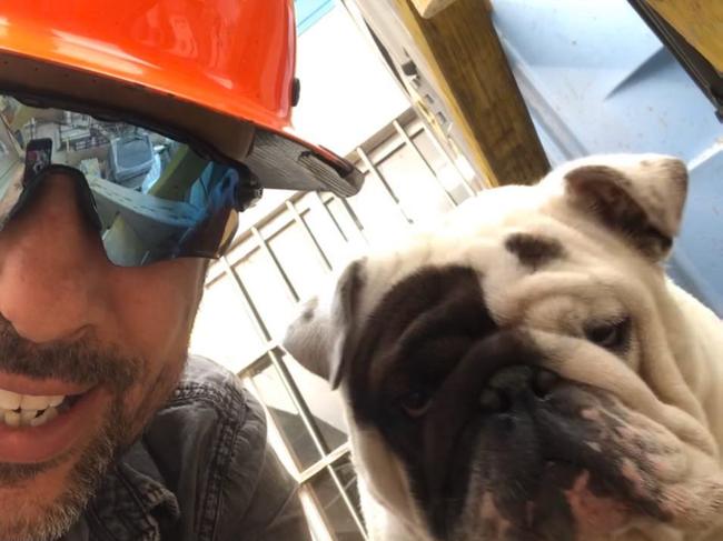 Frank the bulldog who died on Qantas flight from Sydney to Melbourne pictured with his owner Anthony Balletta. Source: Facebook