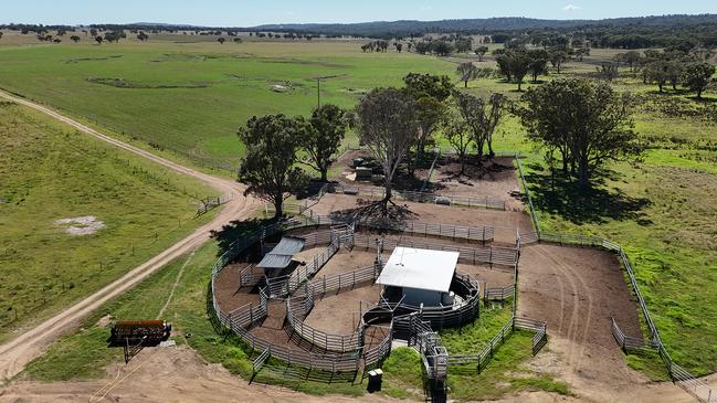 Working infrastructure at Palgrove (picture) includes steel cattle yards with a covered working area, outpost portable yards, original yards with a stable and feed shed, a shearing shed, extensive machinery shedding, workshops and storage along with a hay shed, two grain silos and pasture seed storage.
