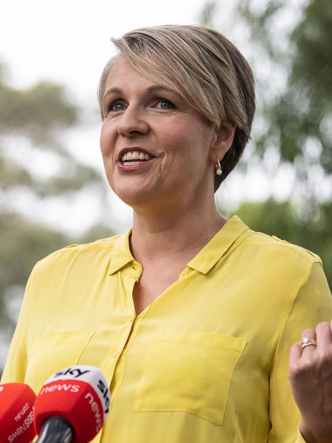 Senior Labor member Tanya Plibersek will join the coverage. Picture: NCA NewsWire / James Gourley