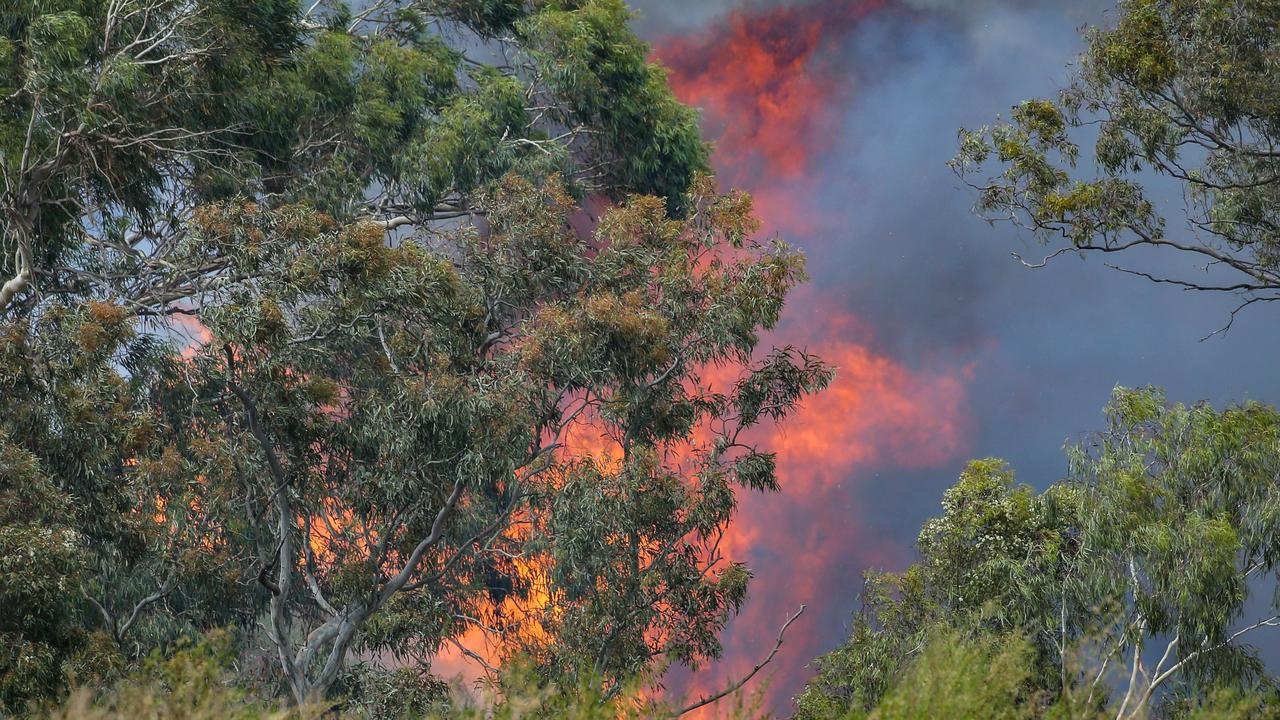 Flames leap from the Bundoora fire, behind Zara Close. Picture: Ian Currie