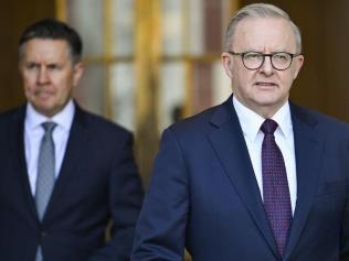 Health Minister Mark Butler and Prime Minister Anthony Albanese. Picture: NewsWire / Martin Ollman