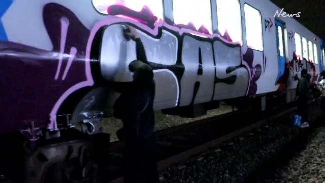 Graffiti vandals leave trail of destruction