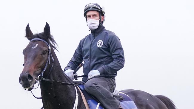 James Winks rode Sir Dragonet in trackwork last spring. Picture: Racing Photos