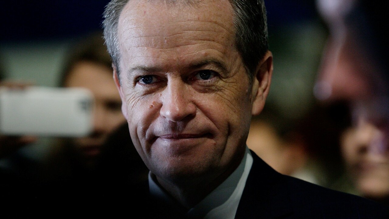 Bill Shorten confirms possible seat switch