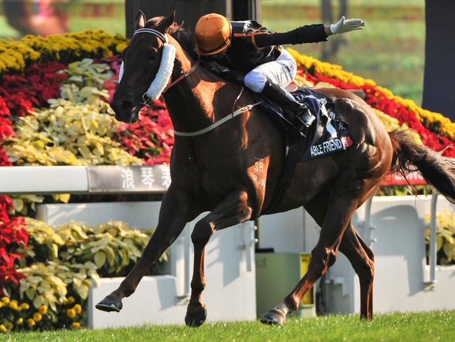 HONG KONG - DECEMBER 14: Joao Moreira riding Able Friend winning Race 7, The LONGINES Hong Kong Mile during International Race day at Sha Tin racecourse on December 14, 2014 in Hong Kong, Hong Kong. (Photo by Vince Caligiuri/Getty Images)