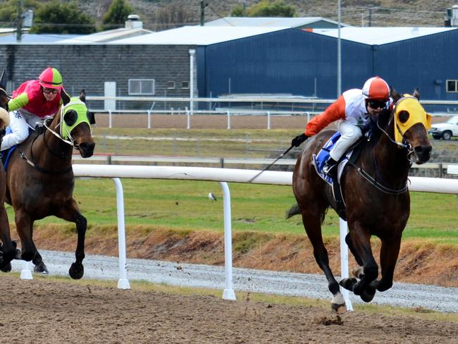 Raquel Clark pilots Concrete Johnny to victory at Spreyton where she was injured on Sunday. Picture: Tas Racing