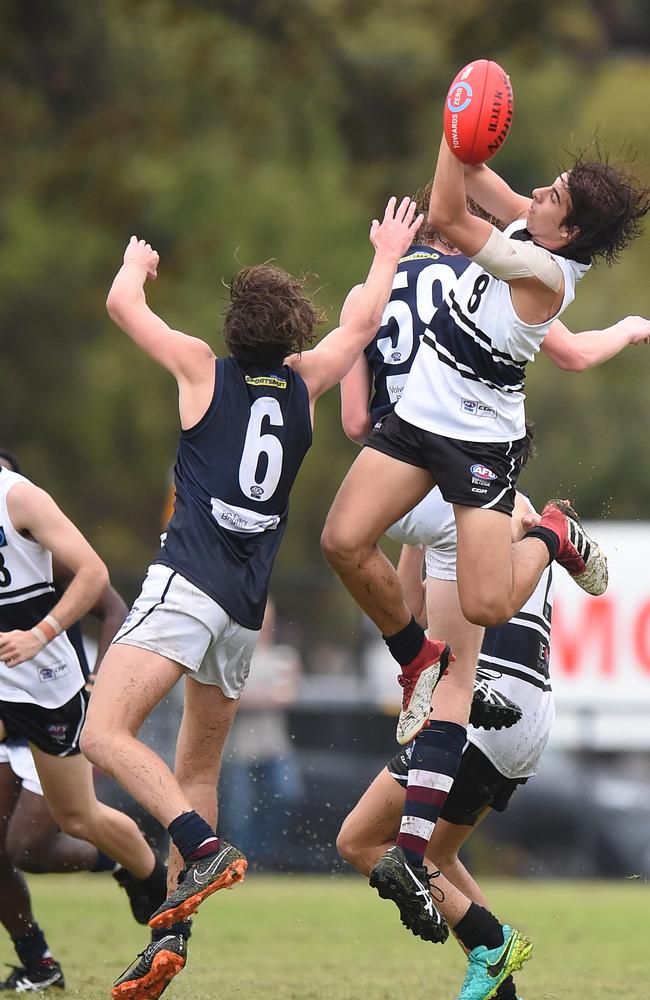 Adam Carafa is tipped to have a big impact next year after a top-three finish in Northern Knights’ best and fairest.