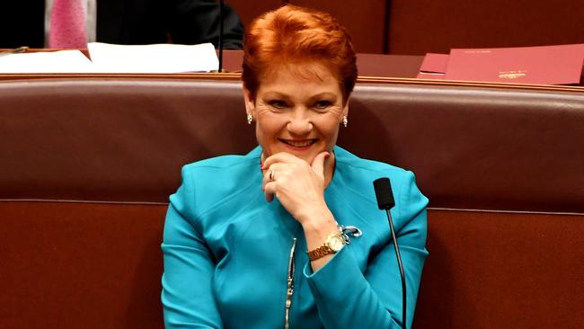 Pauline Hanson has had it in for single mums since she first came to power. Picture: Tracey Nearmy/Getty Images