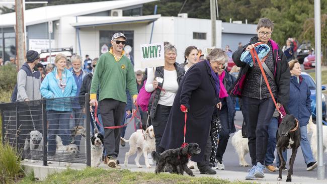 Dog owners march through Lindisfarne in protest against the Clarence Cluncil’s proposed dog management changes. Picture: Chris Kidd